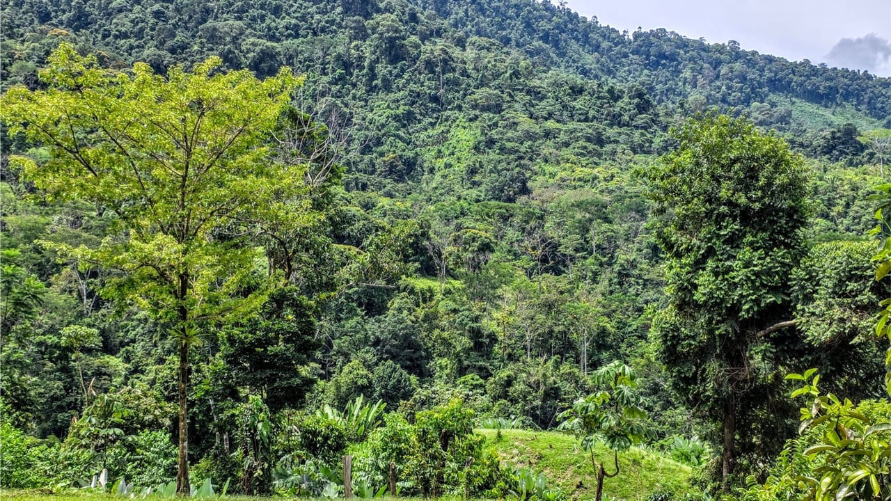 Rainforest Waterfall Acreage Estate, Dominical, Puntarenas
