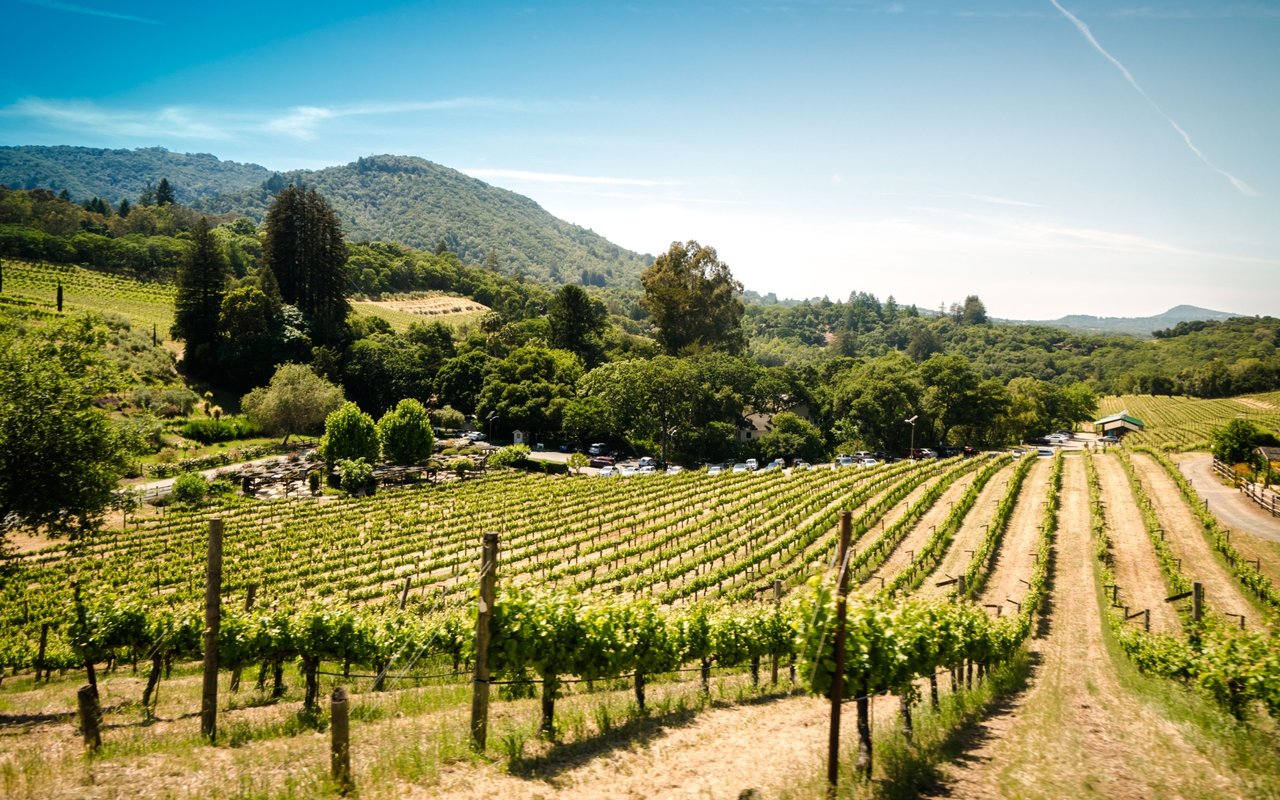 The Dangers of Overpricing Wine Country Real Estate