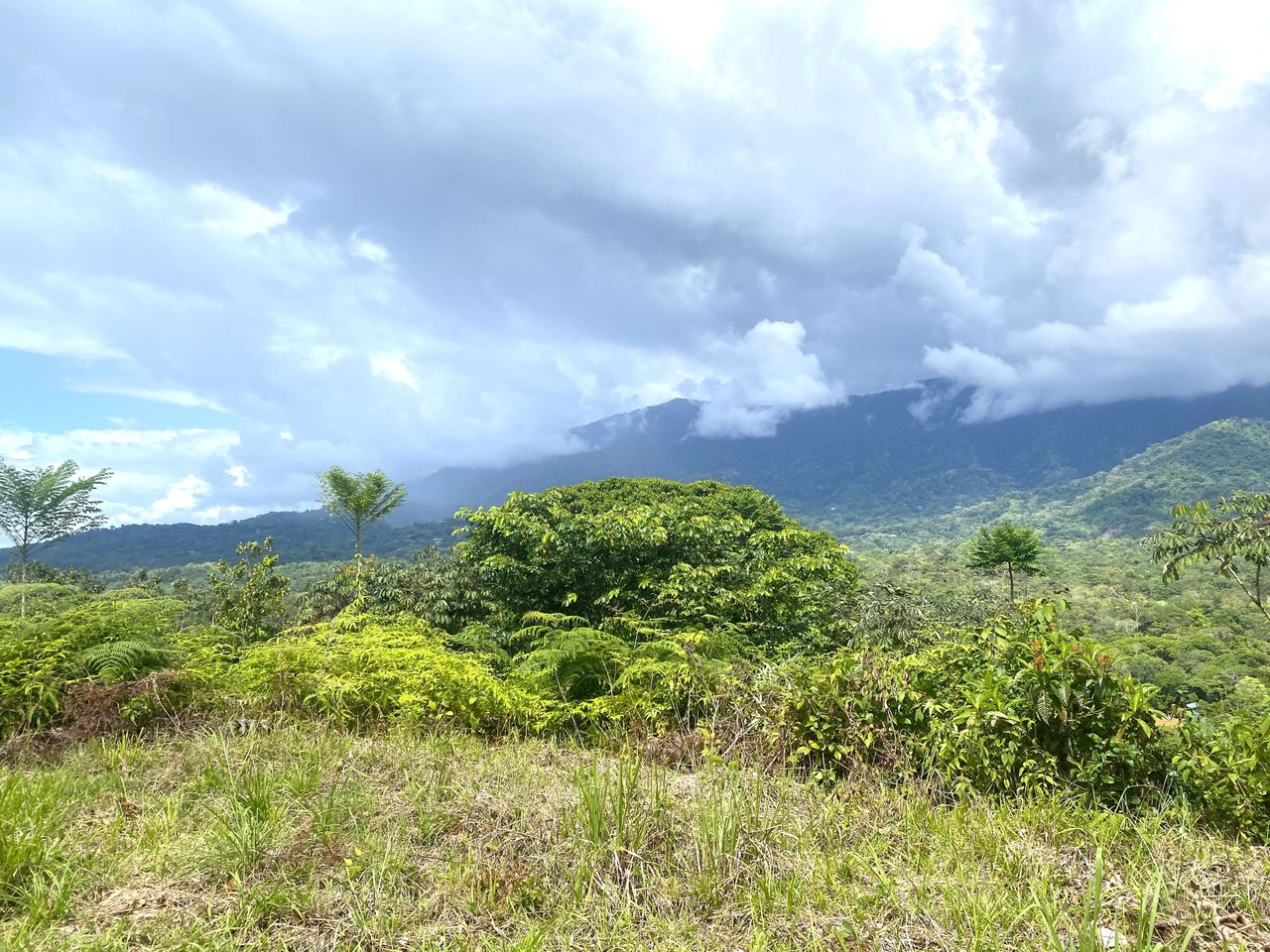 Majestic Expansive Mountain Backdrop