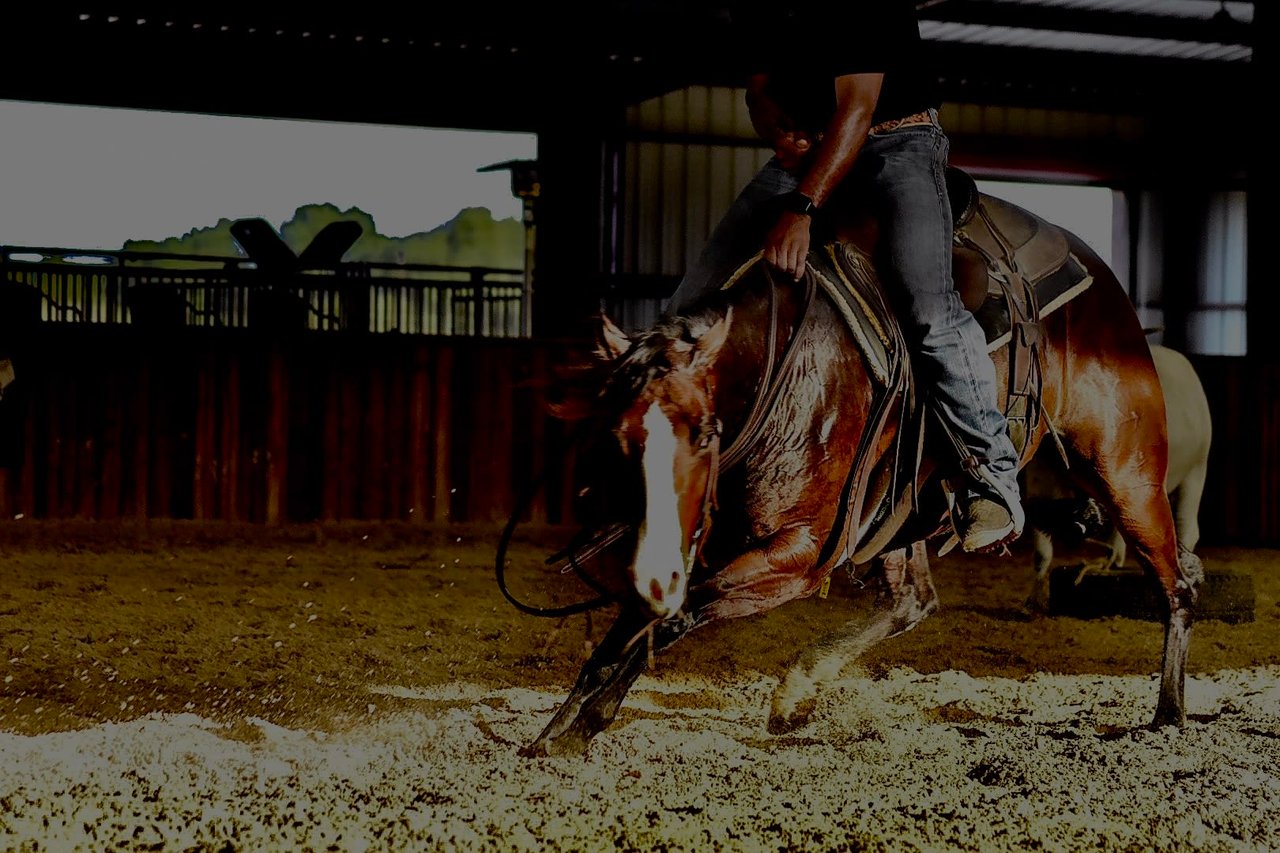 NCHA World Championship Futurity: Best of Food & Nightlife in Fort Worth