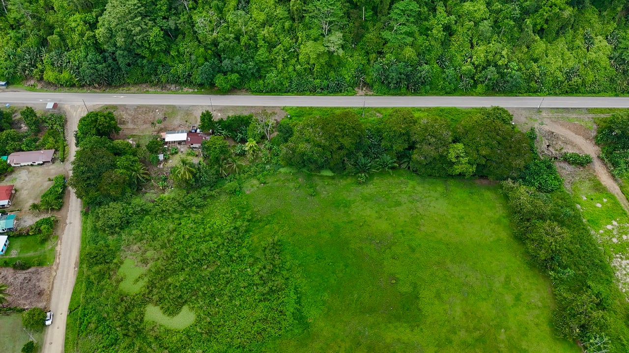 Fire Sale – Over 12 Acres of Land with Public Road Frontage Near Ojochal