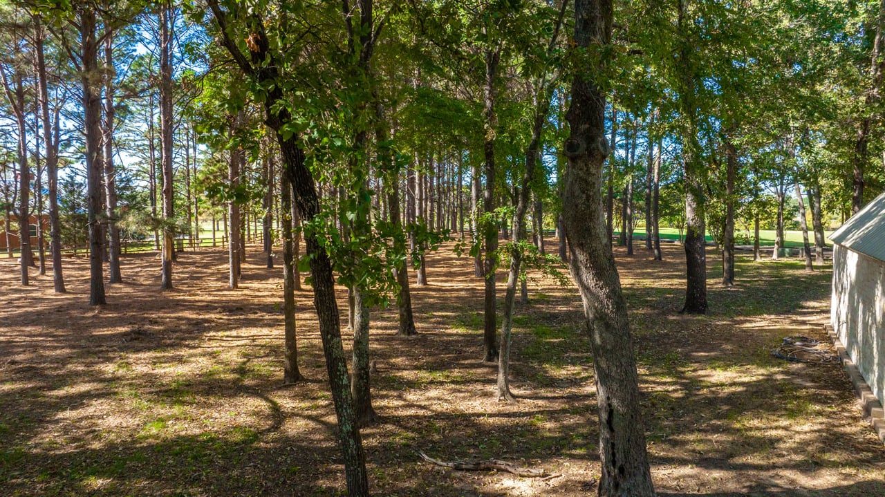Lake Fork Estate
