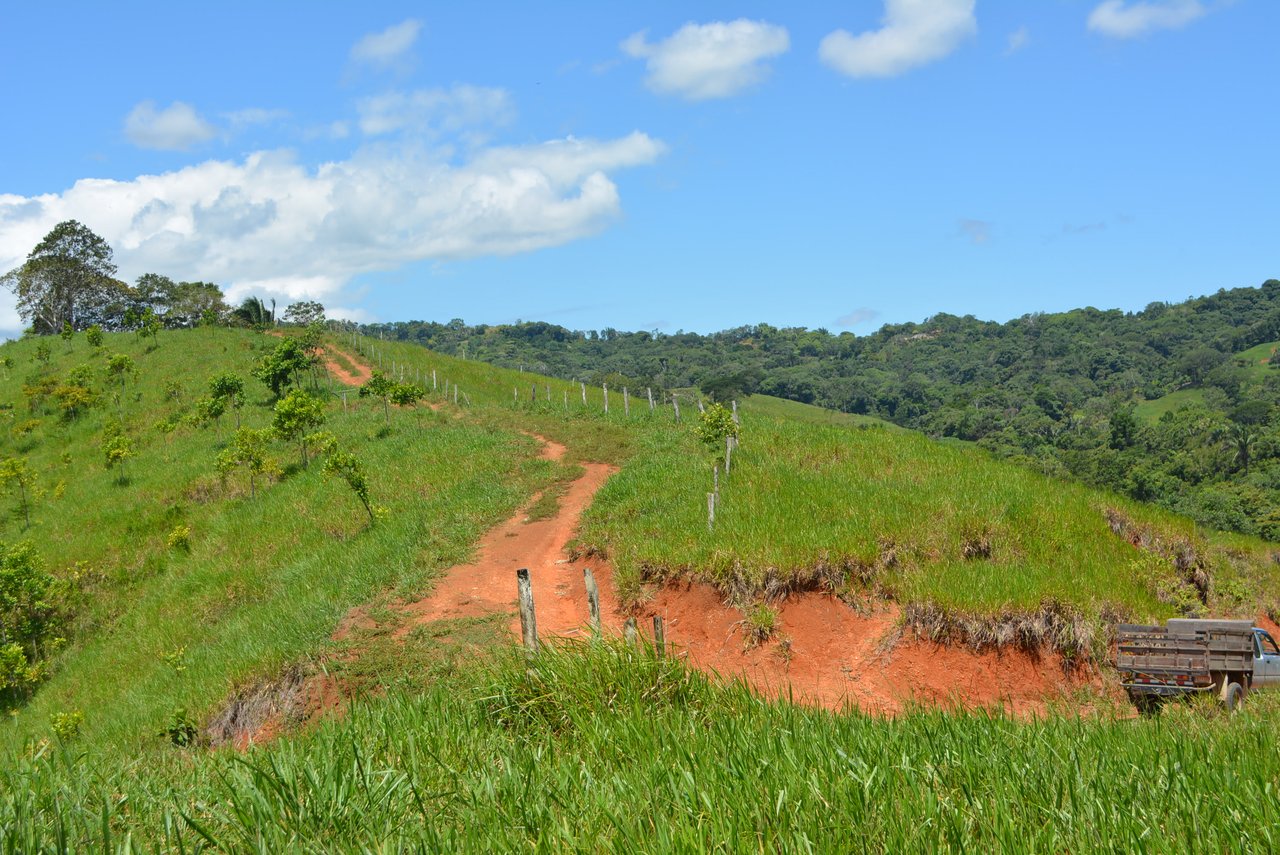 GORGEOUS 35 ACRES WITH WATERFALL AND 360 VIEWS 