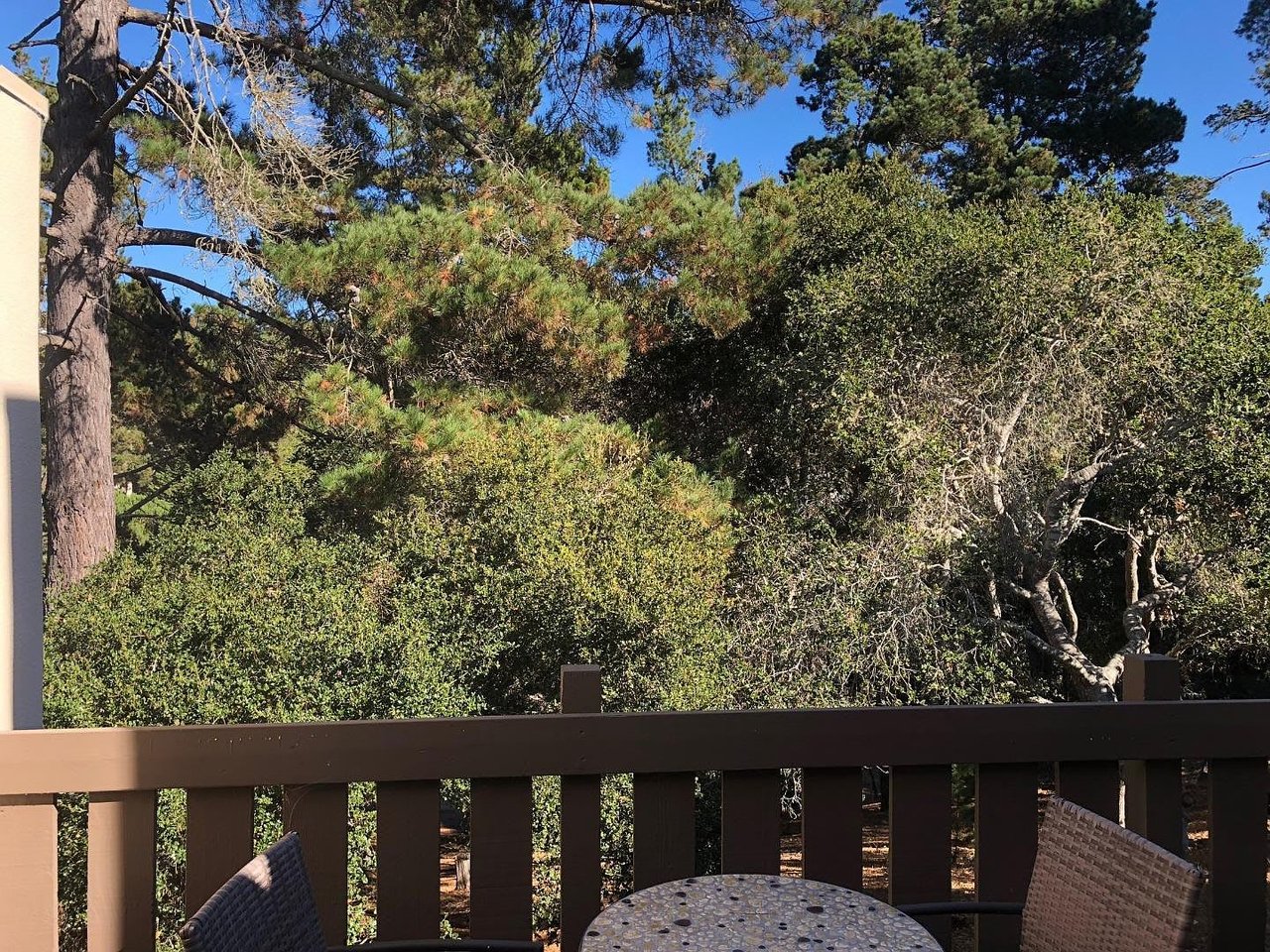 24501 Via Mar Monte APT 49