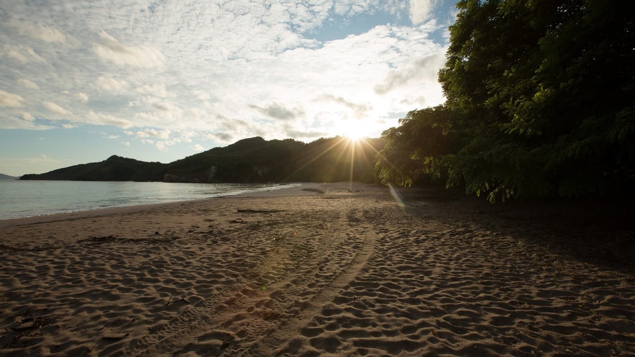 Private Beachfront Development Land, Flamingo, Guanacaste
