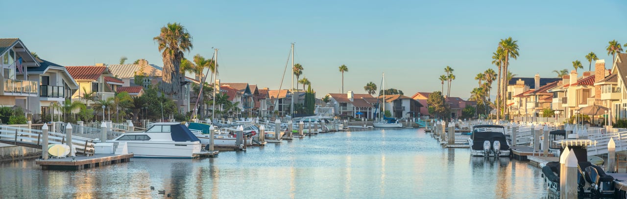 A harbor with boats and palm trees on a sunny day