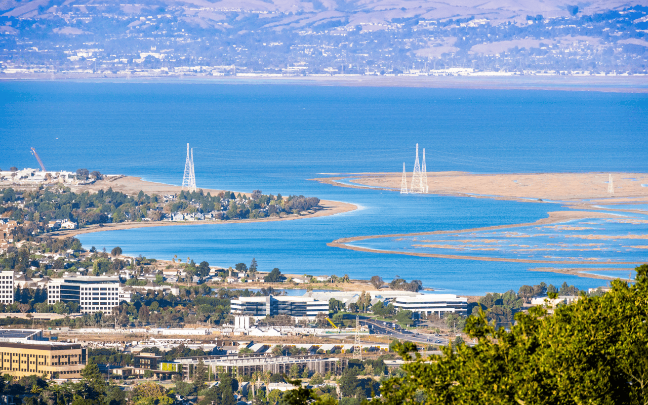 Redwood Shores