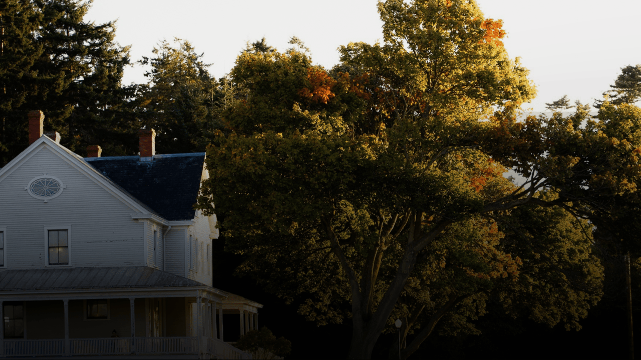 Turning a House into a Home Run: How We Smashed a Record with This Recent Sale