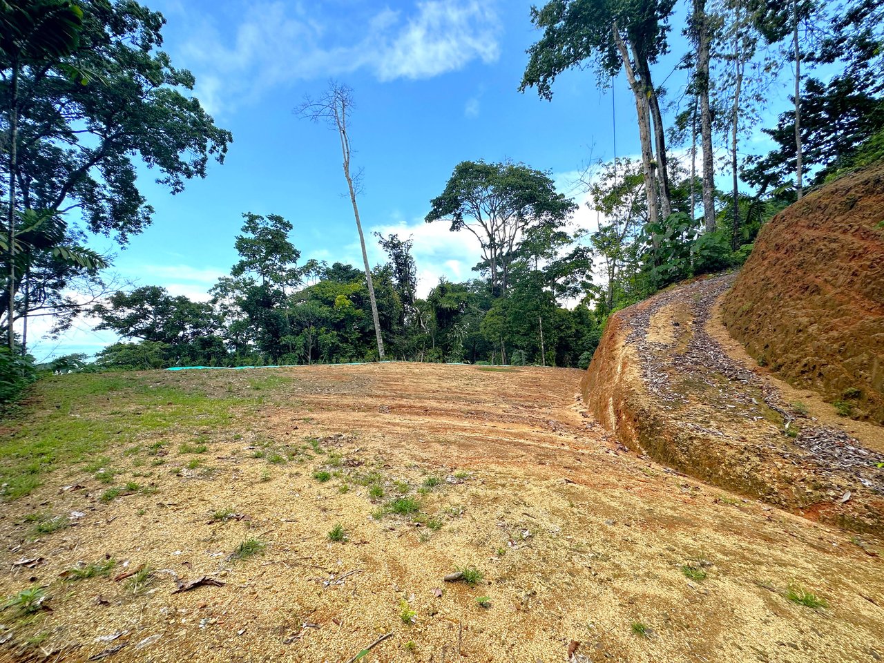 5.77 Acres With 4 Building Sites. Ocean Views, Rivers And Rainforest Abound In Cinco Ventanas! Ojochal 
