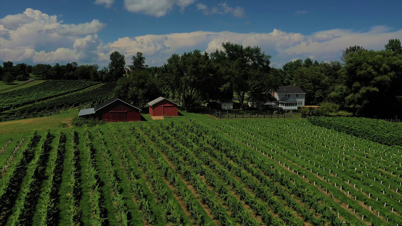 Western Loudoun / Purcellville / Environs