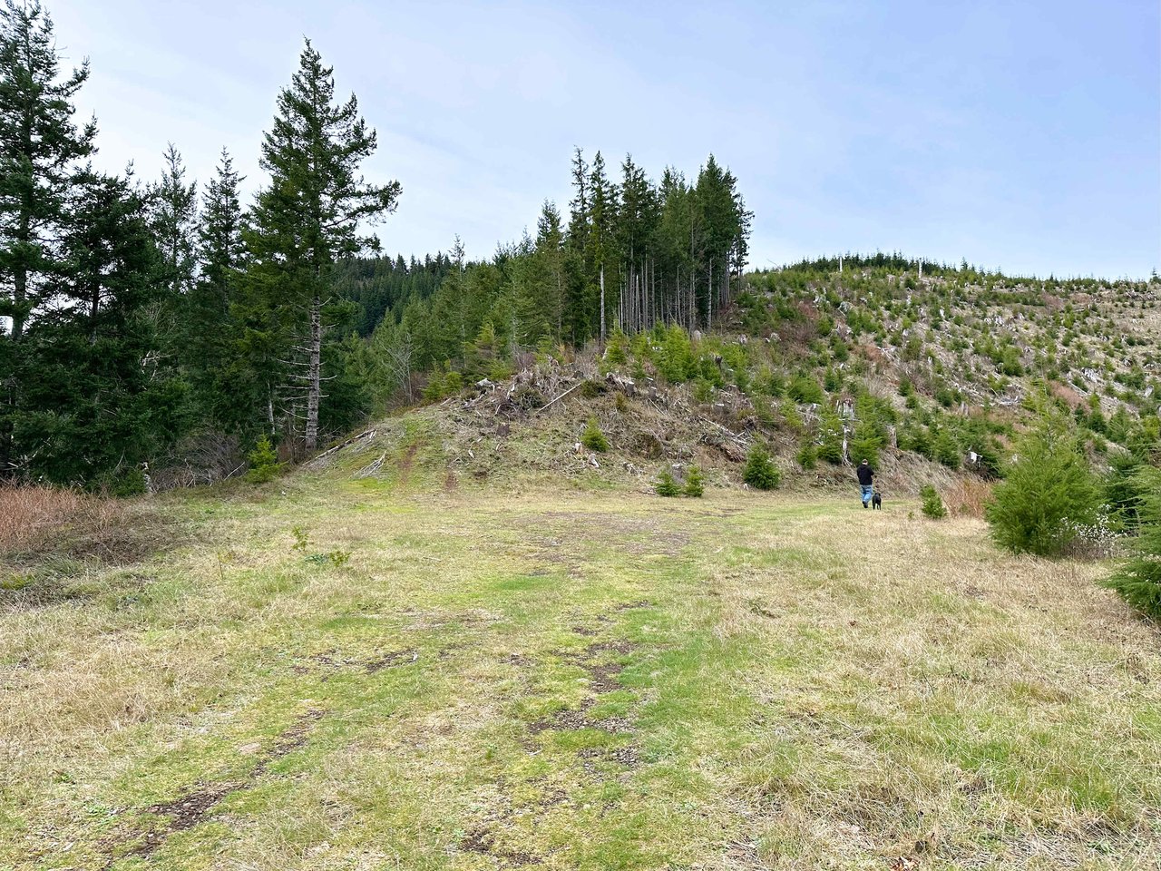 Cummins Creek Wilderness Overlook