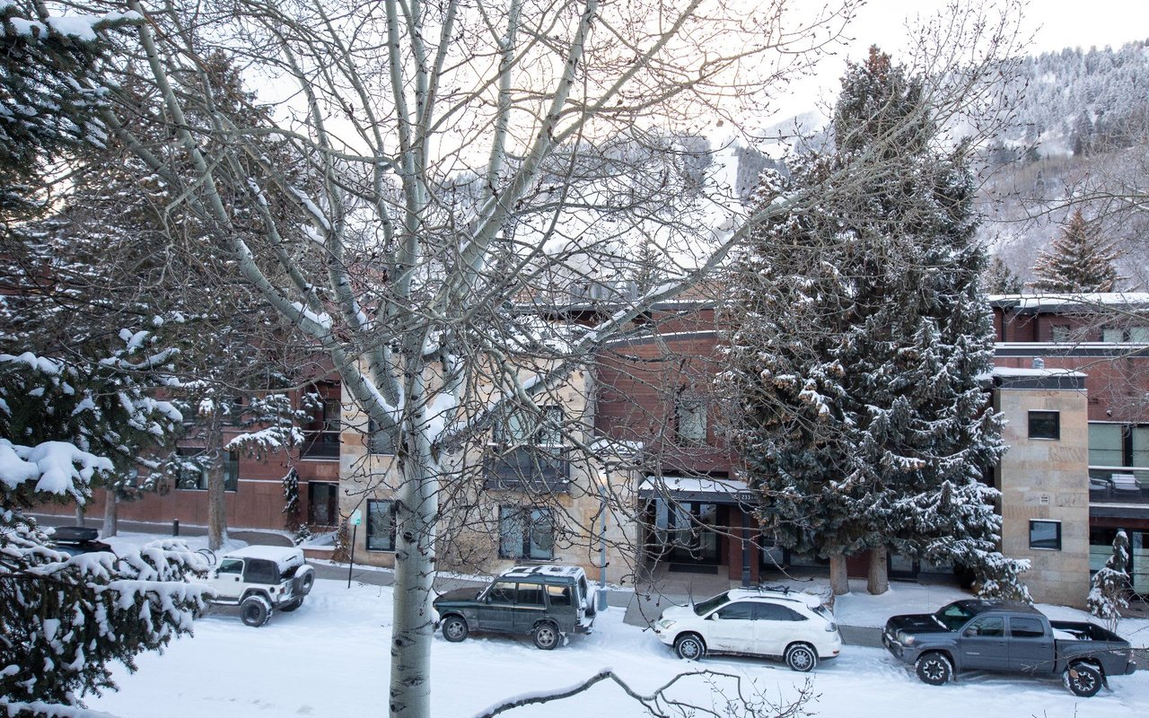 210 E Cooper Ave 3G