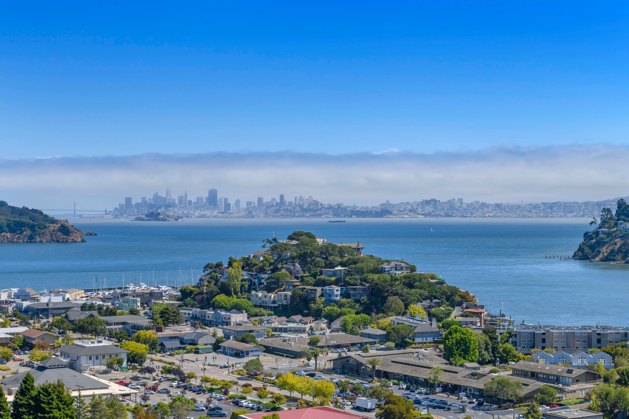 Stunning Single-Level Condo with World Class Views- Represented Seller