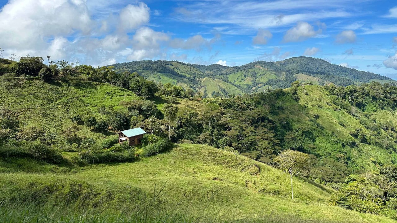 Beautiful Mountain View Farm for Sale