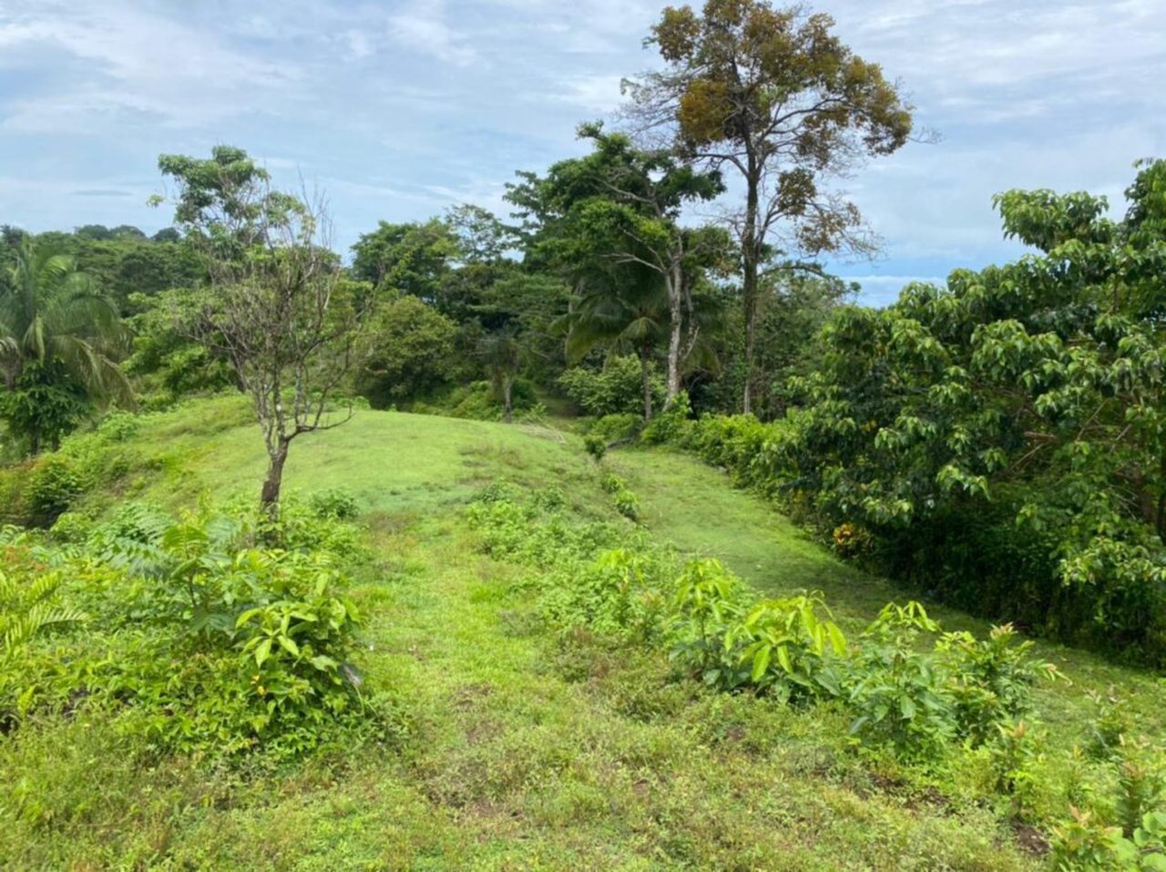 Prime Development Homesite, Manuel Antonio, Puntarenas