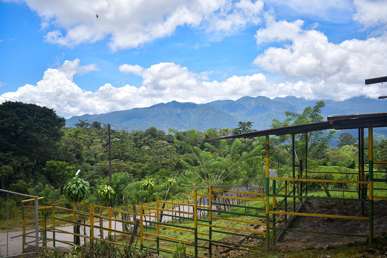 Finca Rosales | A Natural Paradise with Modern Comforts!