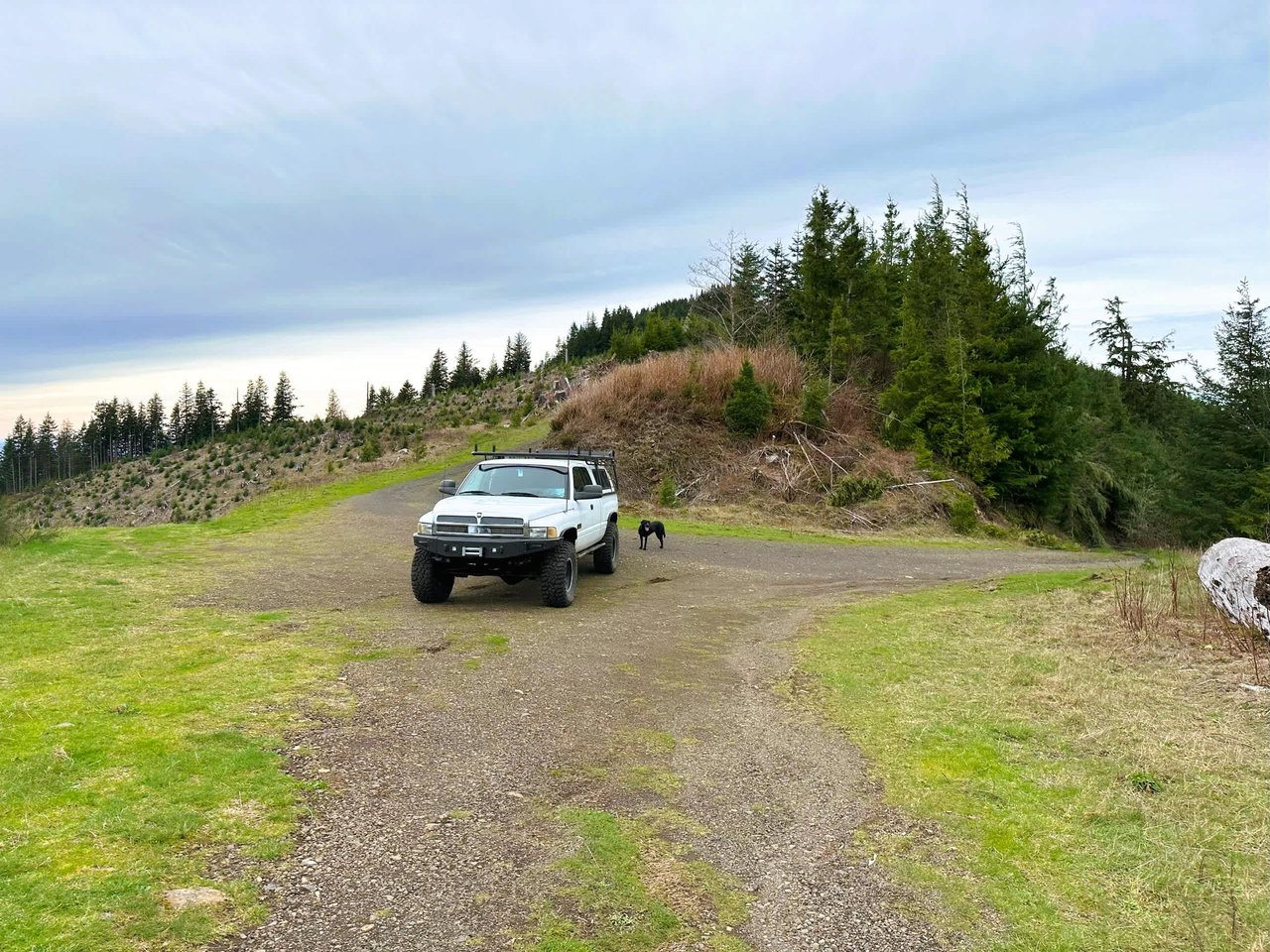 Cummins Creek Wilderness Overlook