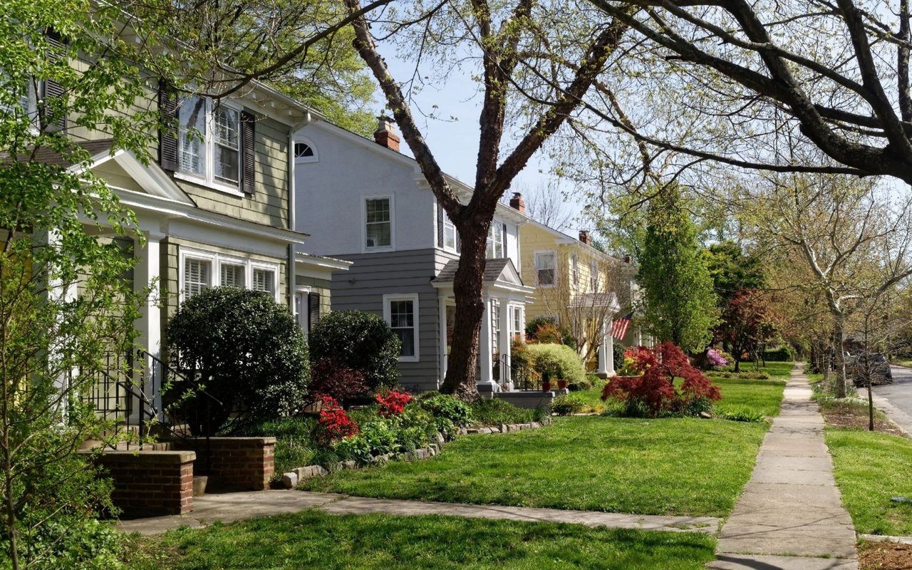 Little Neck