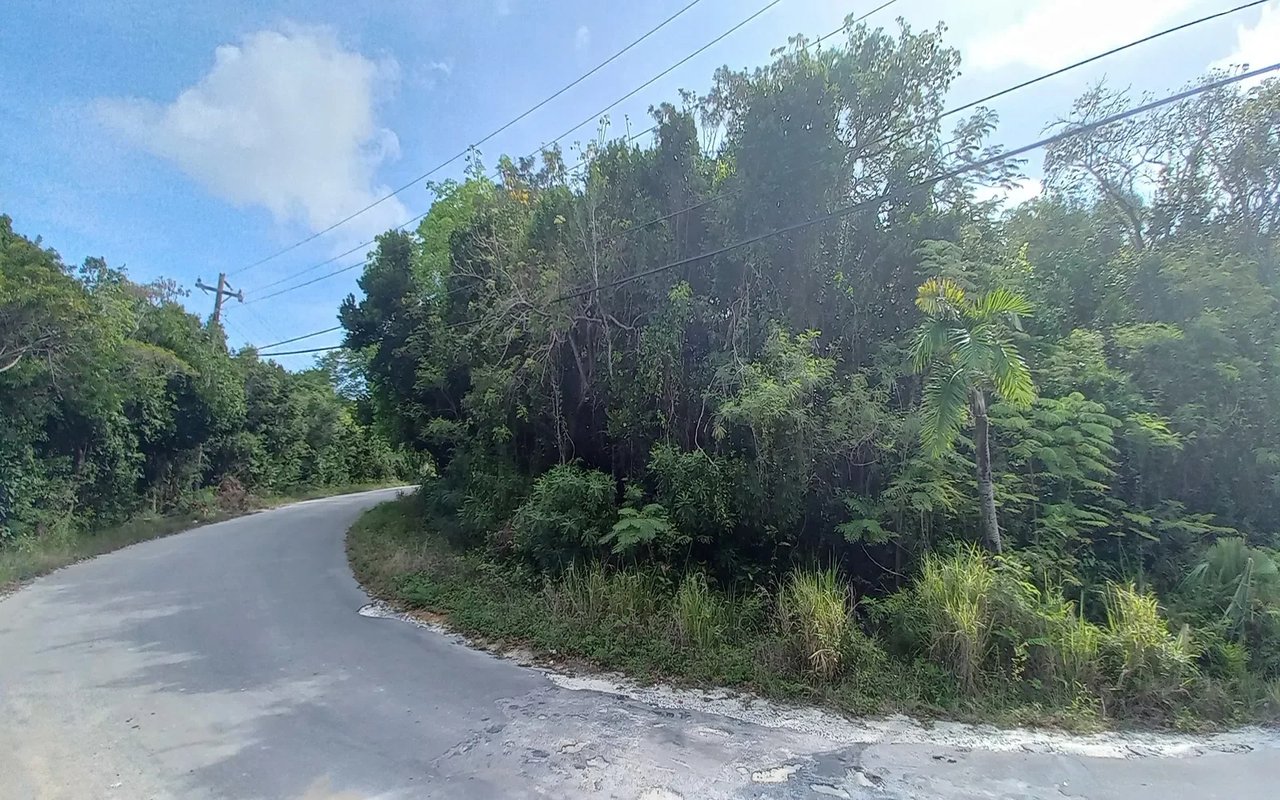Beach in South Palmetto Point