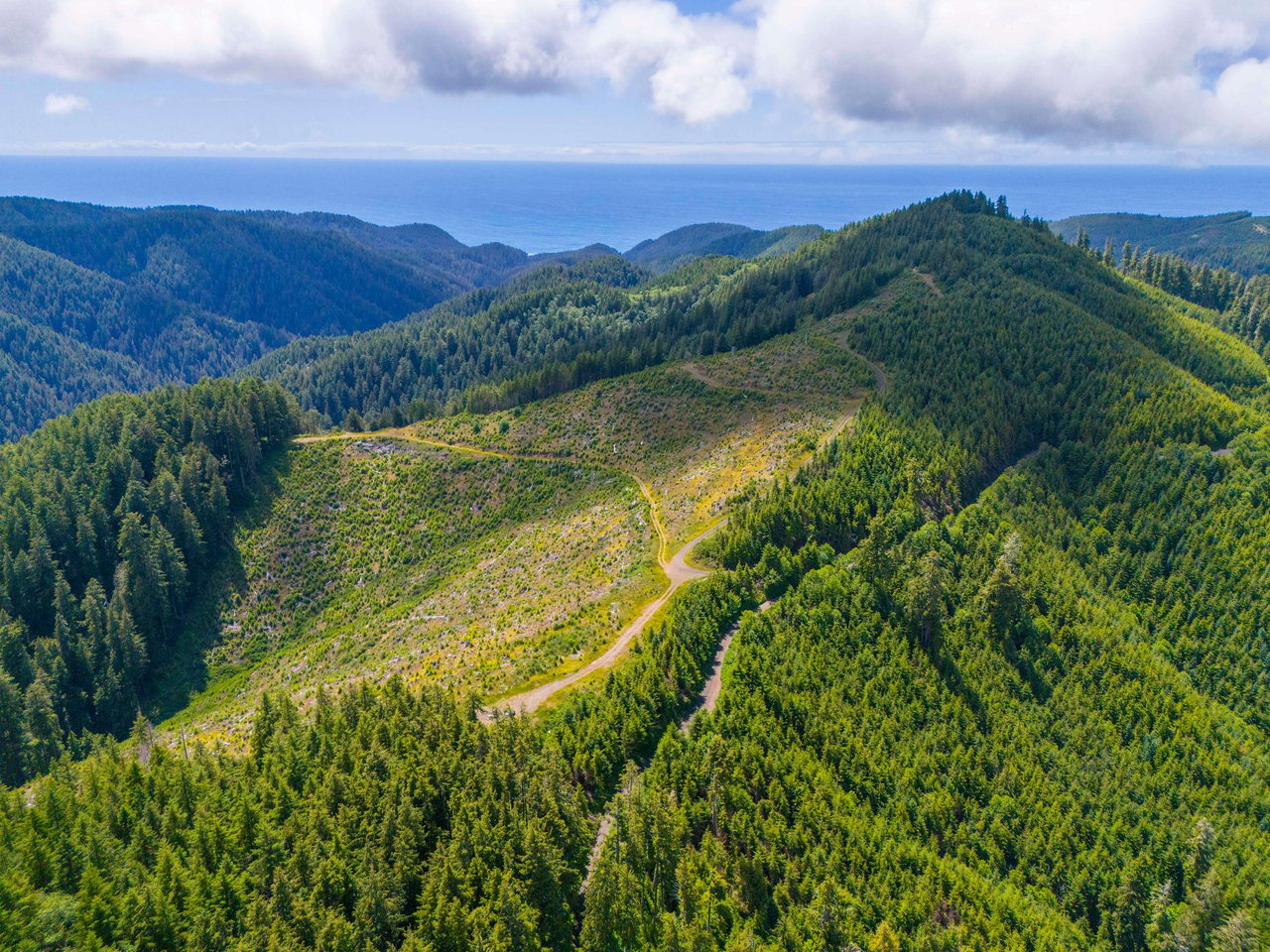 Cummins Creek Wilderness Overlook