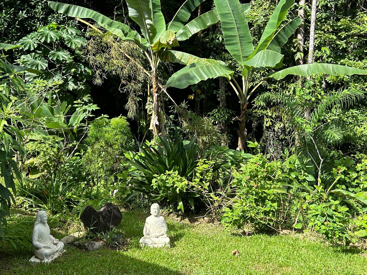 Waterfall View Cabin Estate, Perez Zeledon, San Jose