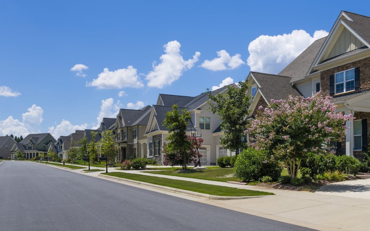 Wide road bordered by green trees with houses nestled behind, showcasing Pflugerville real estate charm