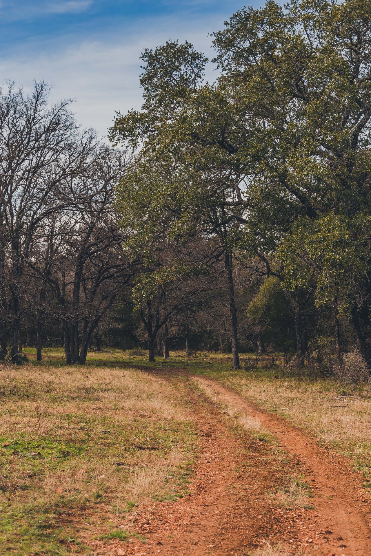 Cuatro Colinas Ranch