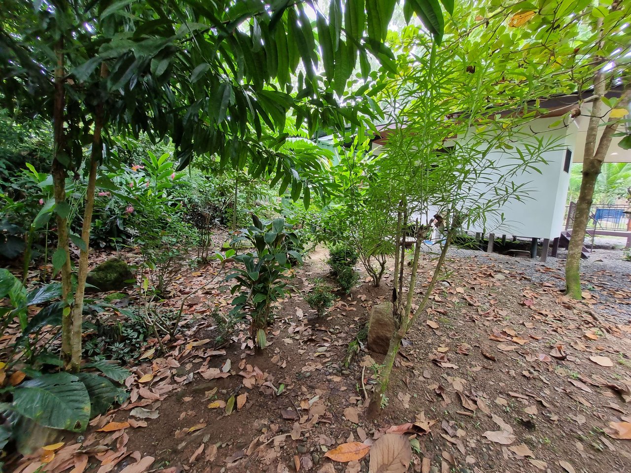 Riverfront Dream Property