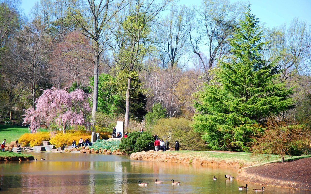 Silver Spring