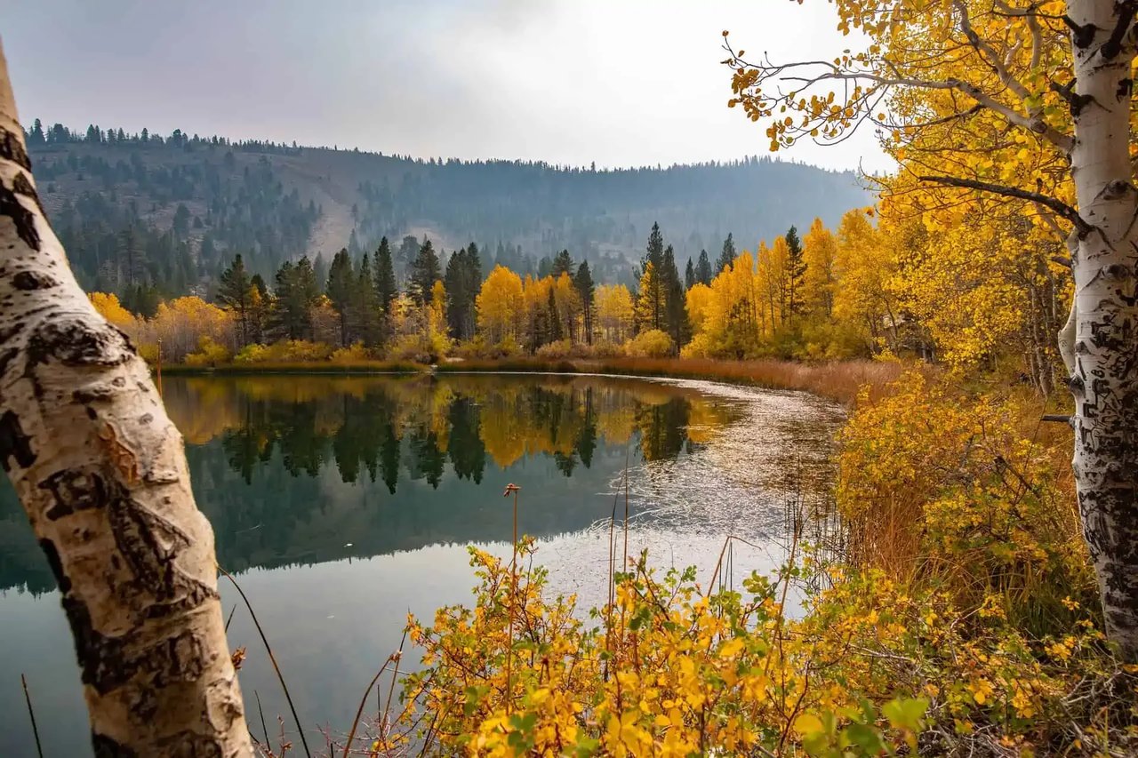 Mammoth Lakes Real Estate Market Update for October 2022