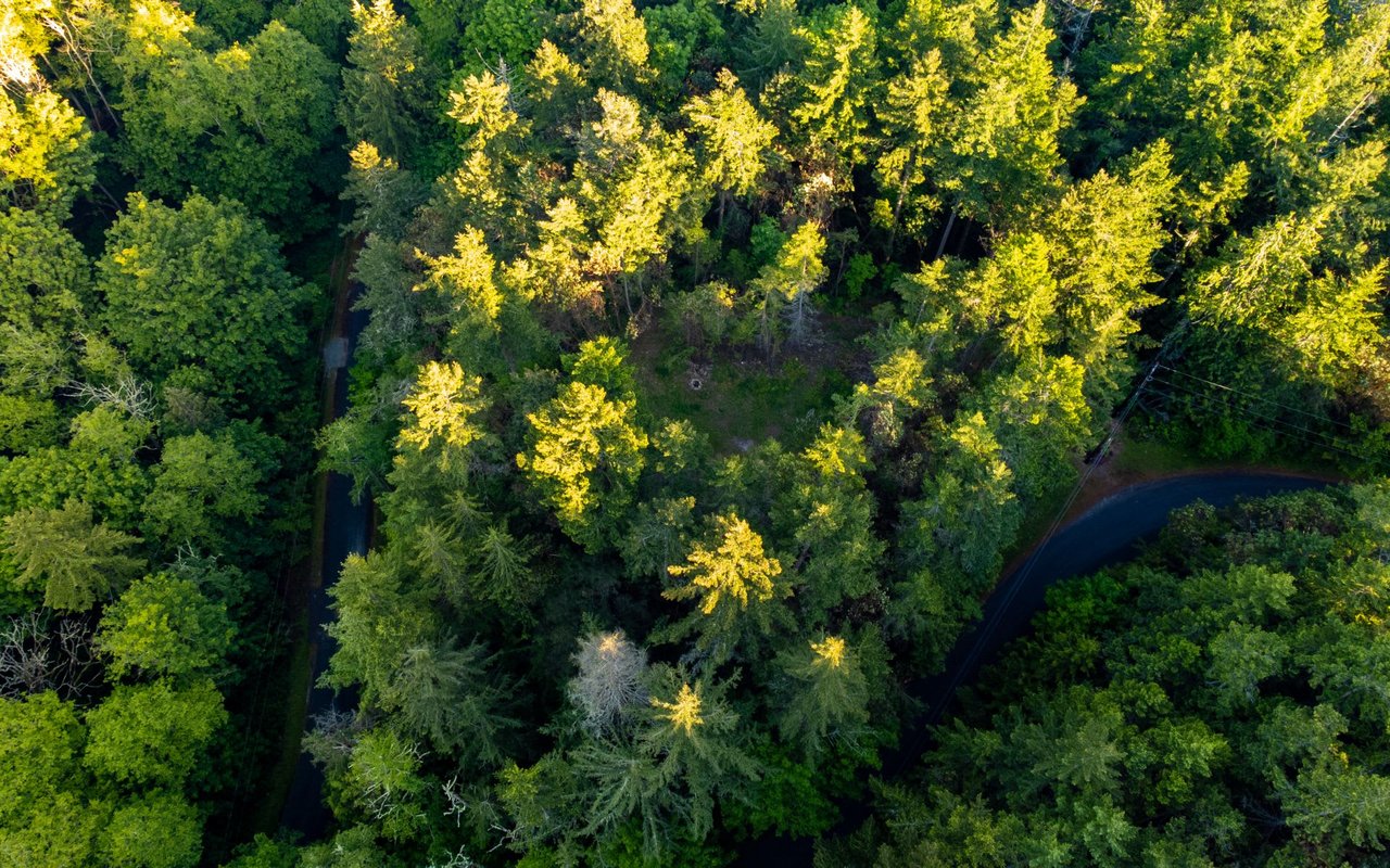 Adjustable Rate Mortgages - The Pros & Cons