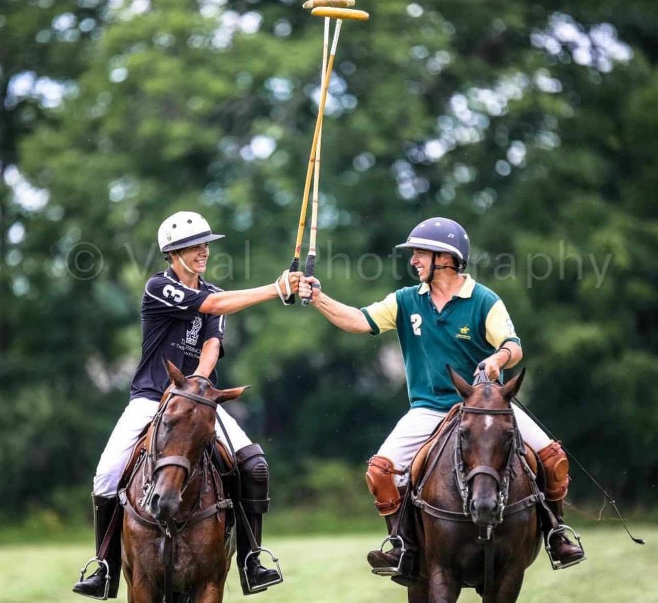 The Timeless Sport of Polo