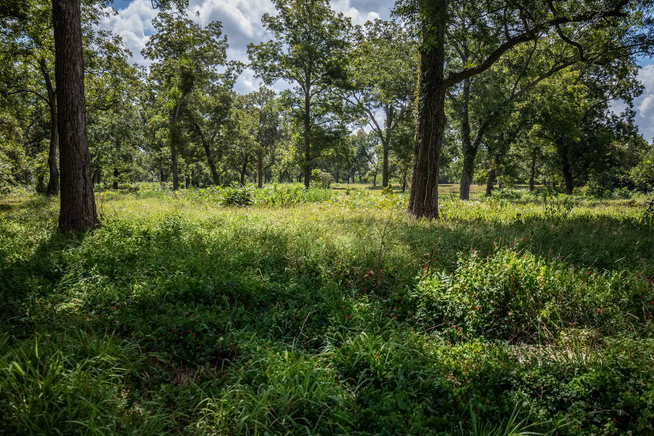 Lovers Lane River Ranch | 140± Acres | DeWitt County