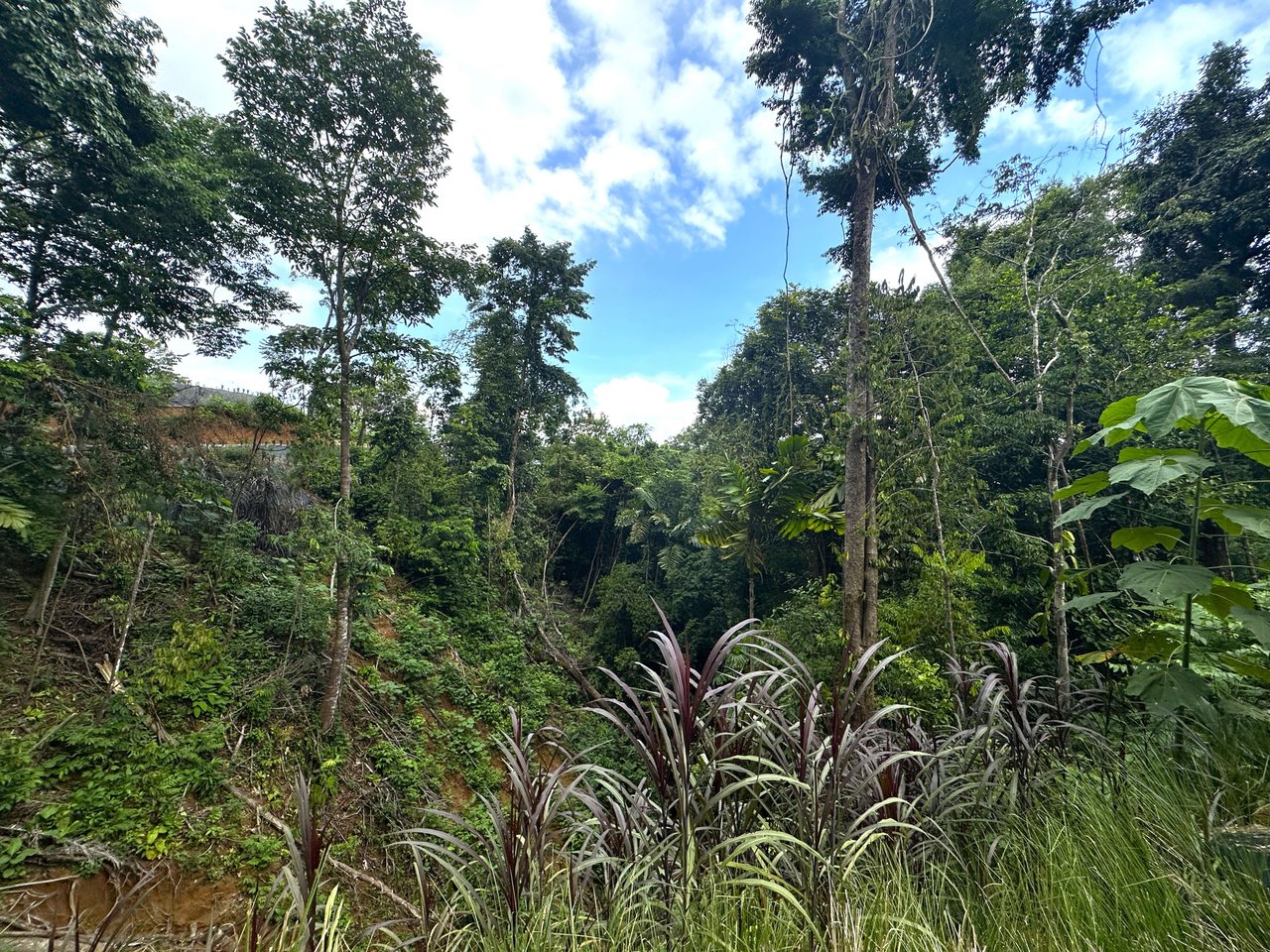 11.24 Acres With Two Stunning Ocean View Building Sites In Cinco Ventanas! Ojochal (Cinco Ventanas, Puntarenas, CR - 60504)