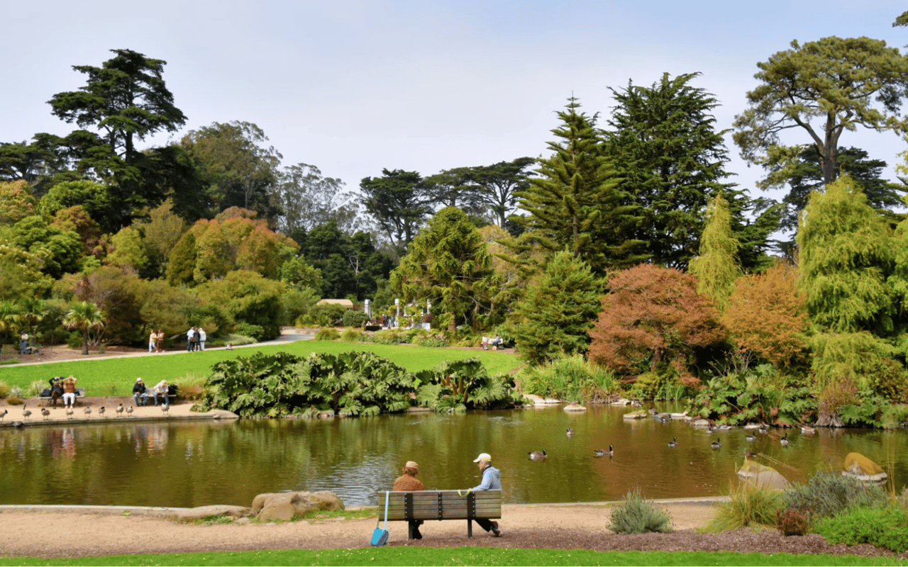 A Guide to San Francisco CA Parks