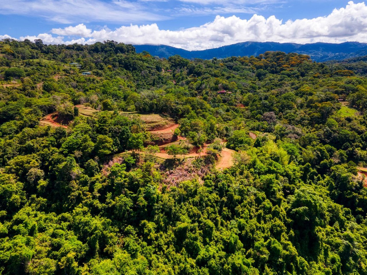 Waterfall Ocean View Land, Dominical, Puntarenas
