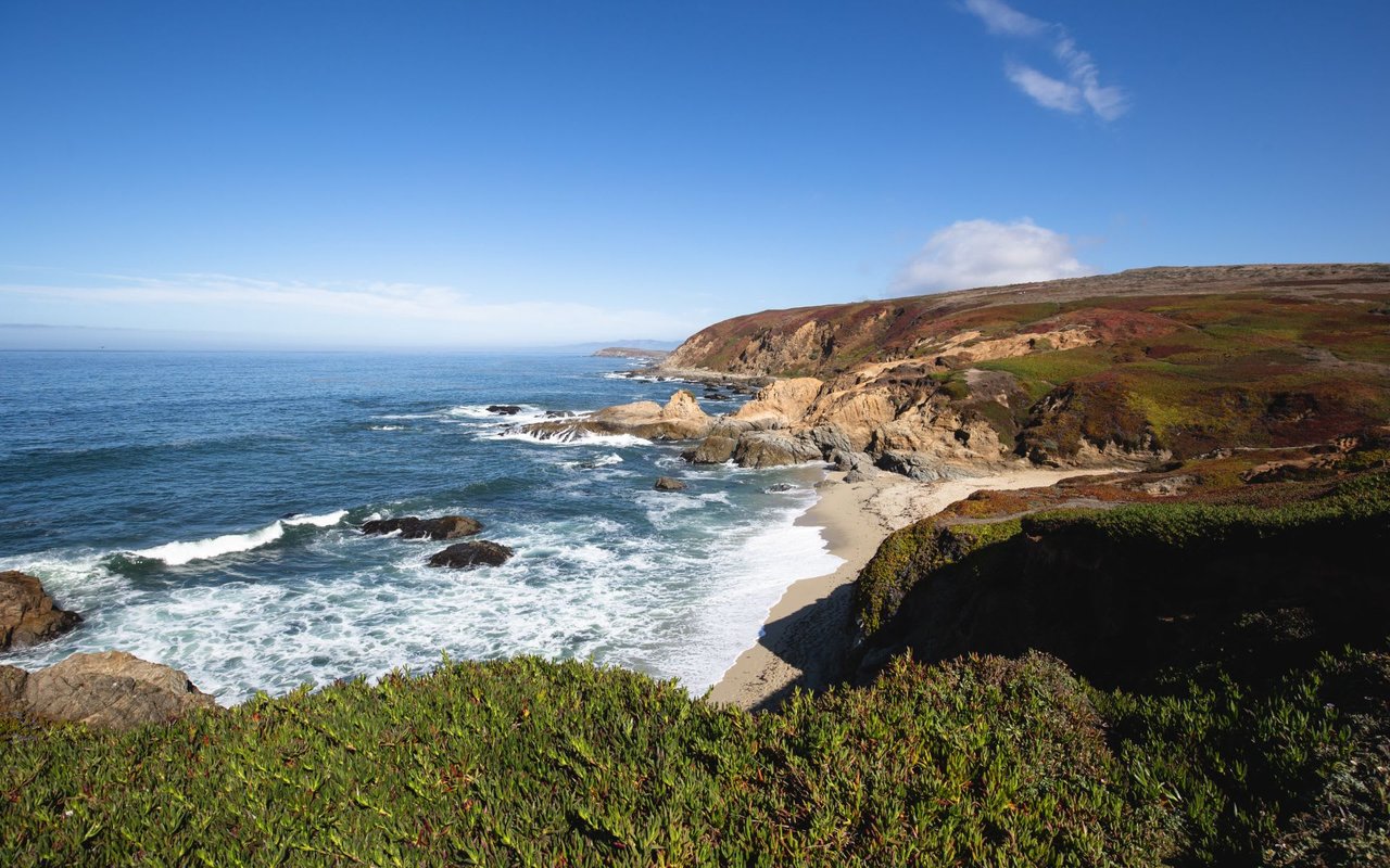 Bodega Bay