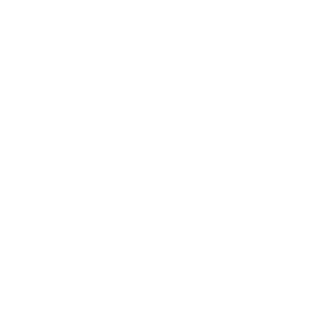 Light Logo
