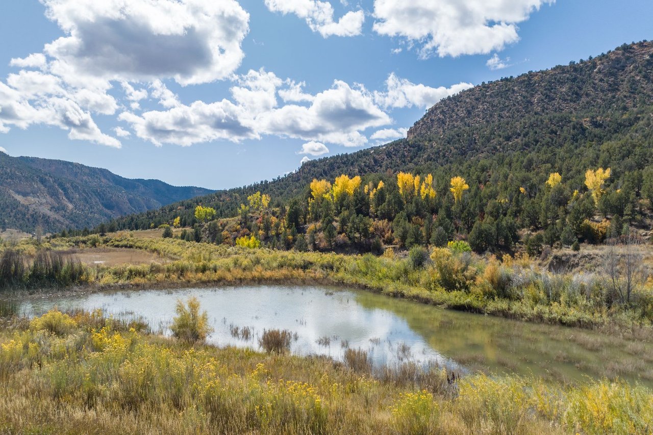 Weber Creek Ranch