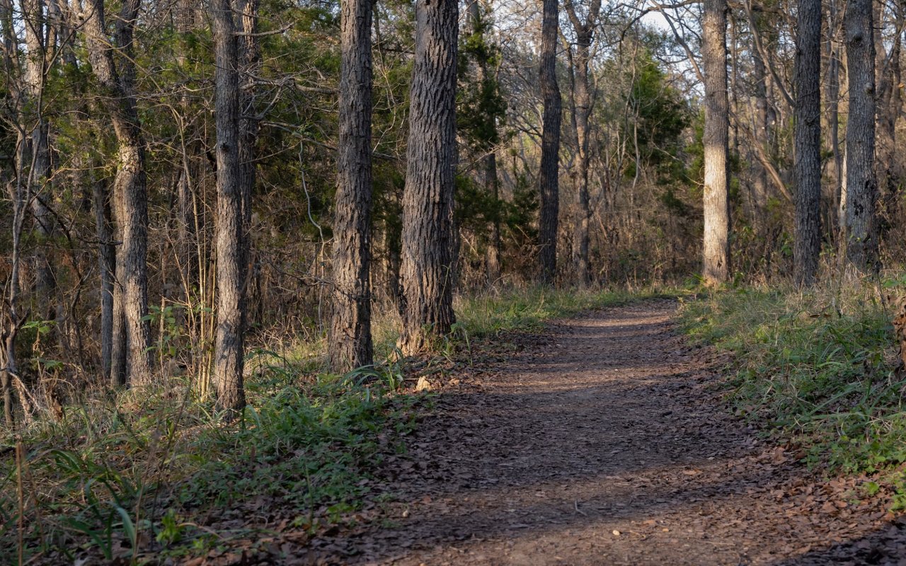 The Best Hiking Trails Surrounding Austin