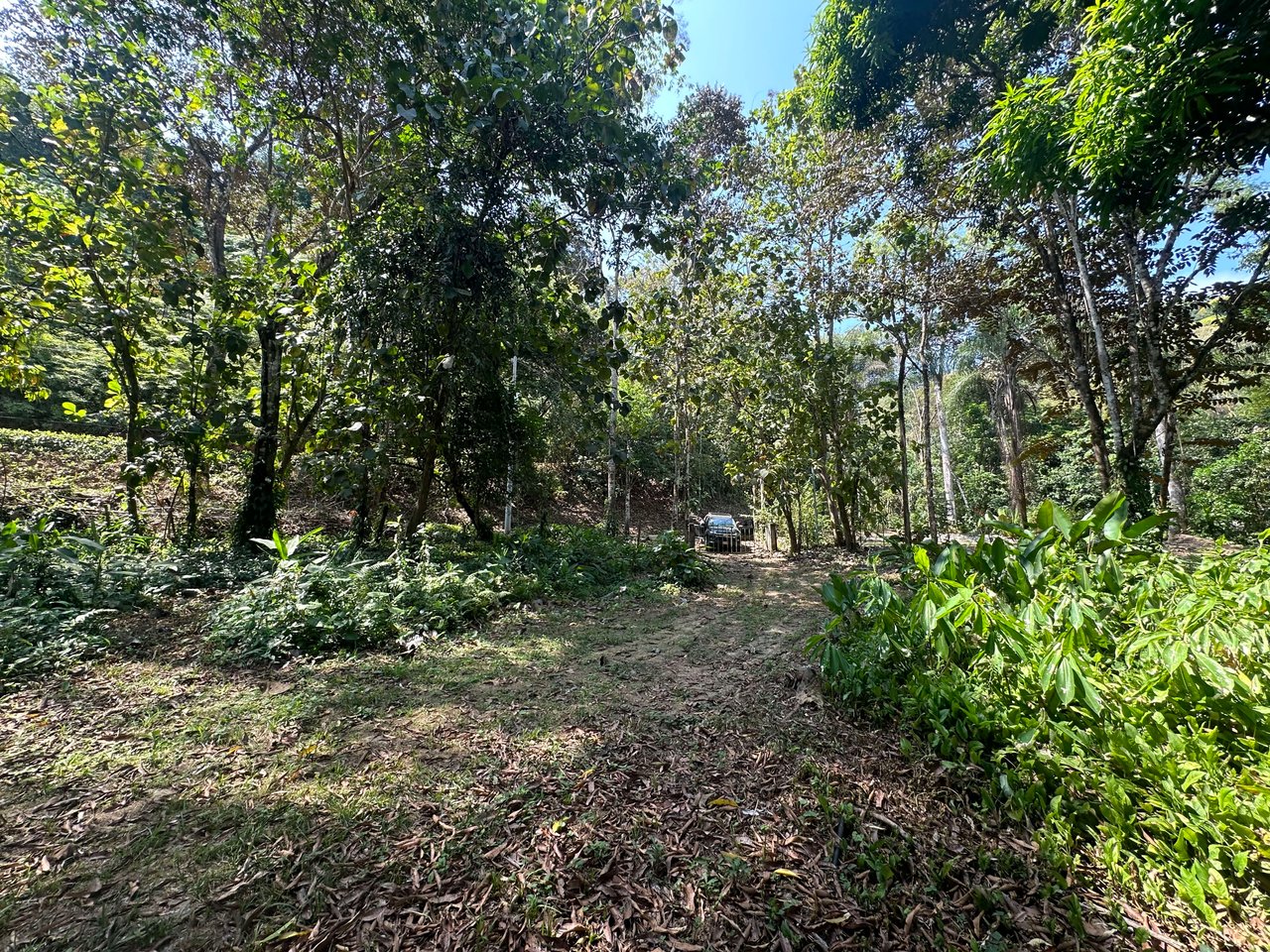 INVESTMENT OPPORTUNITY IN PLATANILLO – YOUR FIXER-UPPER DREAM WALKING DISTANCE TO NAUYACA WATERFALL