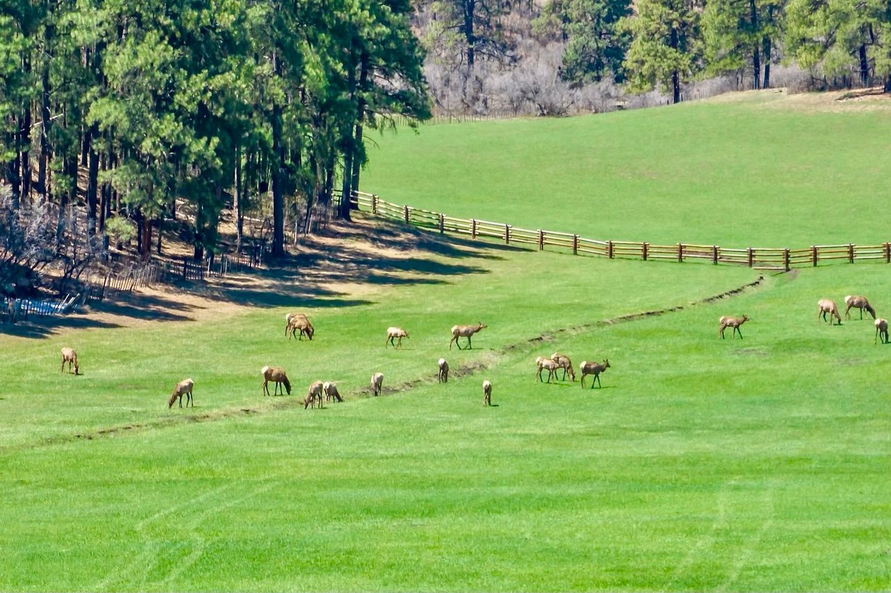 Pine Ridge Ranch