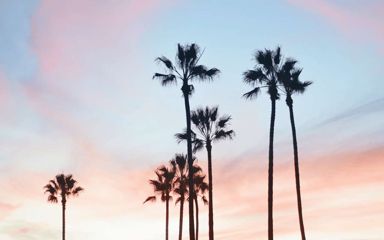 Everything You Need to Know About Moving to Beverly Hills, CA