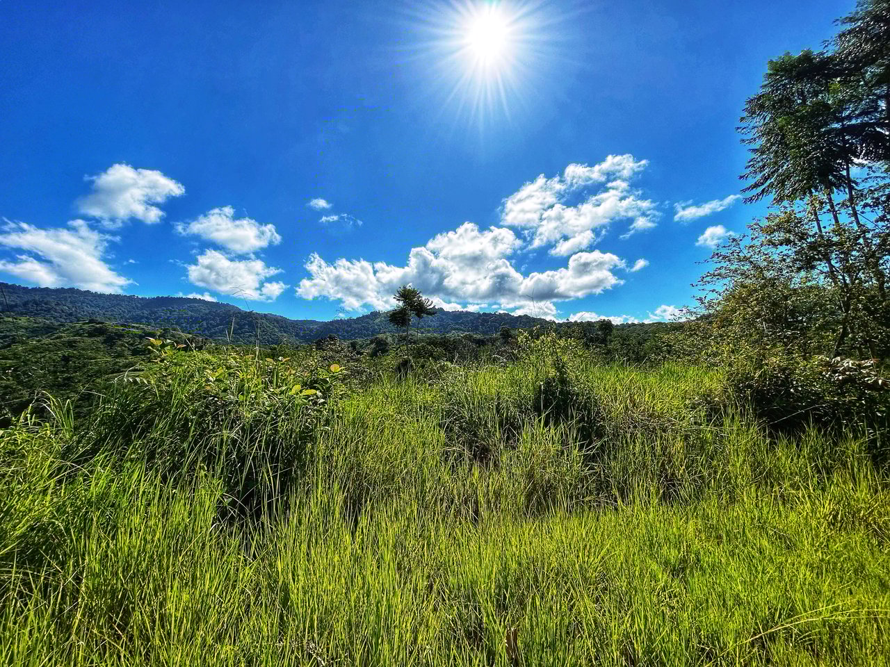 Exclusive Two-Lot Oasis: Your Dream Home Awaits in Gated Paradise!