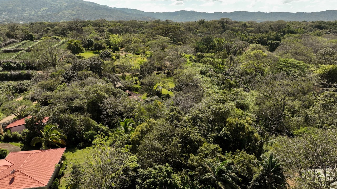 Prime Development Land for Sale La Guacima, Guacima, Alajuela