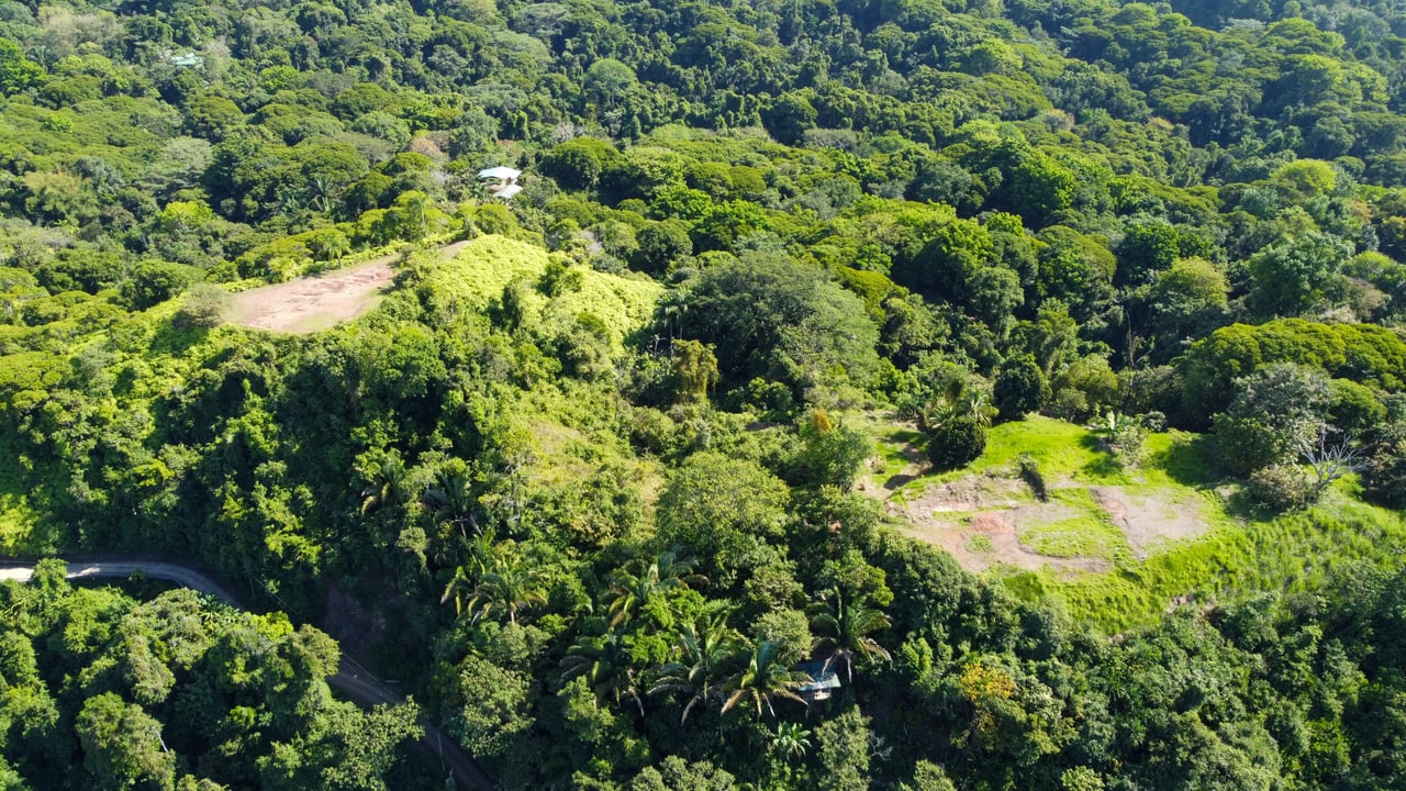 MANGO MANOR RIDGE PREMIER OCEAN VIEW PROPERTY IN DOMINICAL