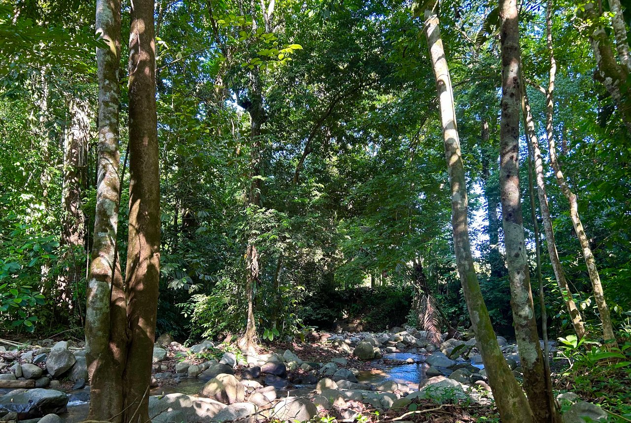 Surfer's Dream in Ojochal; 2 Bedrooms, 2 Bathrooms with Pool and River Access
