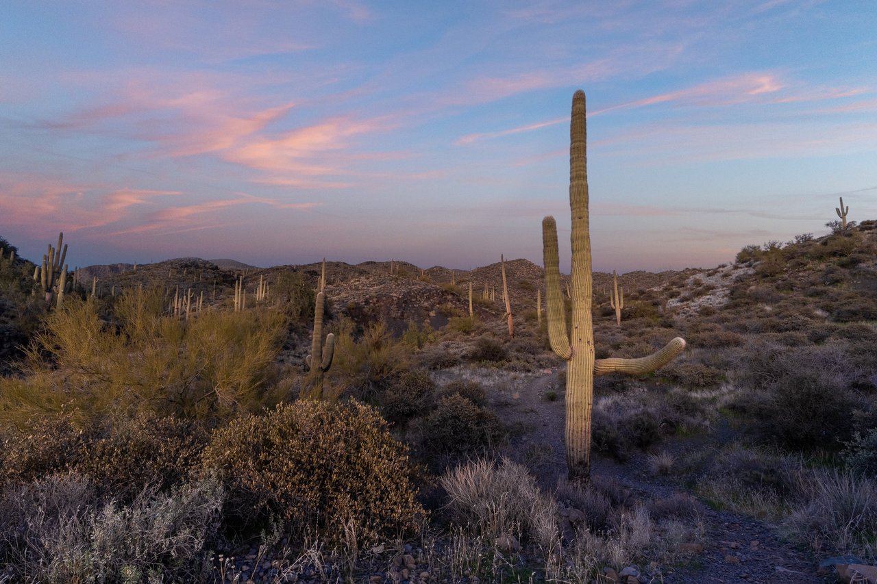 Horseshoe in Continental Mountain Estates in Cave Creek