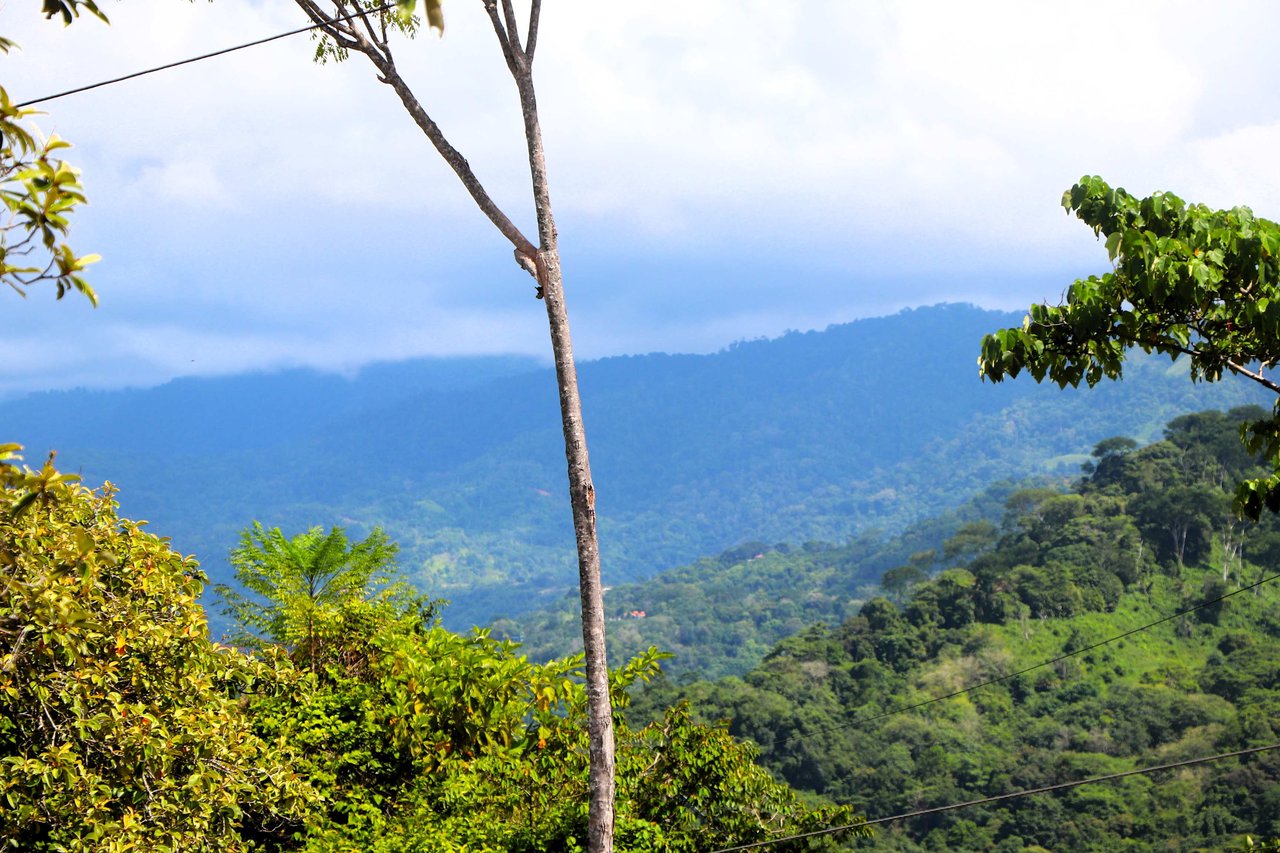 2 Acres Property with 360 Panoramic Views!