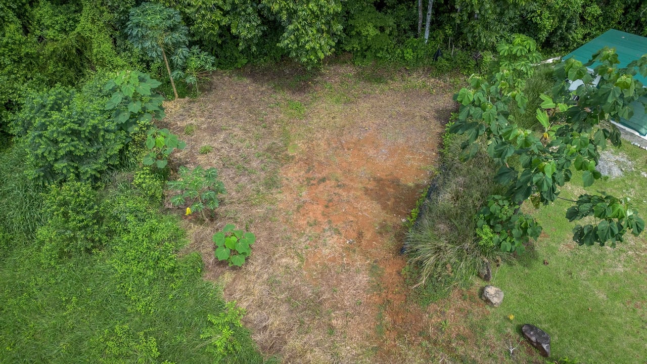 Tierra Bendita, 2.5 Acres of Usable Land with Exisiting Home and River Access!